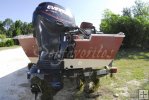 Hydrilla weed hitch-hiking Hydrilla weed hitch-hiking