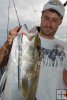 Amberjack and metal jig Amberjack and metal jig
