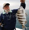 Another keeper sheepshead Another keeper sheepshead