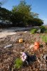 Colorful marine debris Colorful marine debris