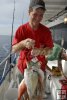 Stringer of porgies Stringer of porgies