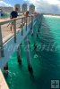 Florida Pier Florida Pier
