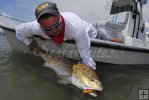 Bull redfish landed from Shoalwater boat Bull redfish landed from Shoalwater boat