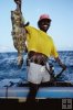 Black grouper Black grouper
