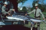 Texas game wardens with billfish Texas game wardens with billfish