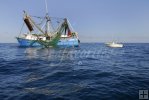 Calm Gulf and shrimpboat Calm Gulf and shrimpboat