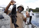 Freshwater catfish Freshwater catfish