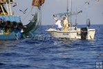 Spotting gamefish beneath shrimpboat Spotting gamefish beneath shrimpboat