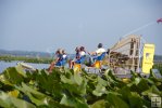 Airboat in aquatic plants Airboat in aquatic plants