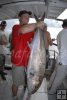 Amberjack Florida partyboat Amberjack Florida partyboat