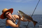Release the redfish? Release the redfish?