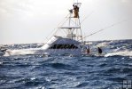 Fishing boats Fishing boats