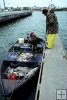 Saltwater trotlining Saltwater trotlining
