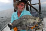 Tripletail finally landed Tripletail finally landed