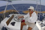 Sargassum weed line Sargassum weed line