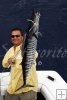 Holding a wahoo high Holding a wahoo high