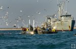 Menhaden Boats Menhaden Boats