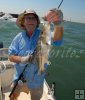 Lesser snook, Texas Lesser snook, Texas