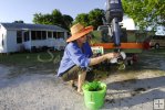 Cleaning hydrilla from equipment Cleaning hydrilla from equipment