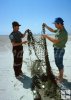 Texas game warden with gillnet Texas game warden with gillnet