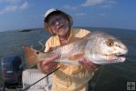 Jetty redfish Jetty redfish