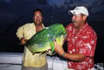 Mahi-mahi caught late Mahi-mahi caught late