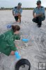 Biologist examines turtle nest Biologist examines turtle nest