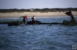Surf Wreck Surf Wreck
