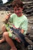 White bass White bass