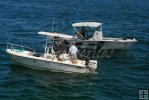 Marine Patrol checking a boat Marine Patrol checking a boat