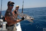 Releasing a kingfish Releasing a kingfish