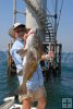 Black drum, Gulf platform Black drum, Gulf platform