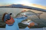 Putting the bite on bluefish Putting the bite on bluefish