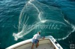 Castnet Castnet