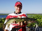 Nice chain pickerel! Nice chain pickerel!