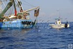 Small fishing boat and shrimpboat Small fishing boat and shrimpboat