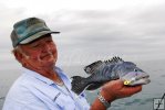 Capt. Walt Carlson with sea bass Capt. Walt Carlson with sea bass