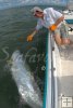 Tarpon alongside Tarpon alongside