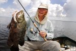 Tripletail with angler Tripletail with angler