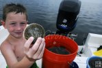 Big scallops make for tasty seafood Big scallops make for tasty seafood