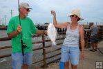 Shoreline flounder Shoreline flounder