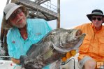 Tripletail in hand Tripletail in hand
