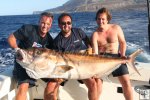 Amberjack Ascension Island Amberjack Ascension Island