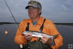Ladyfish from tidal creek Ladyfish from tidal creek