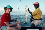 Belize Barracuda Belize Barracuda