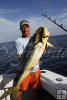 Gaffer-size mahi-mahi Gaffer-size mahi-mahi