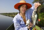 black crappie in Florida black crappie in Florida