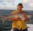 Bull Redfish Bull Redfish