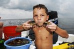 Young snorkeler with scallops Young snorkeler with scallops