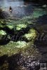 Salt Springs, Florida Salt Springs, Florida